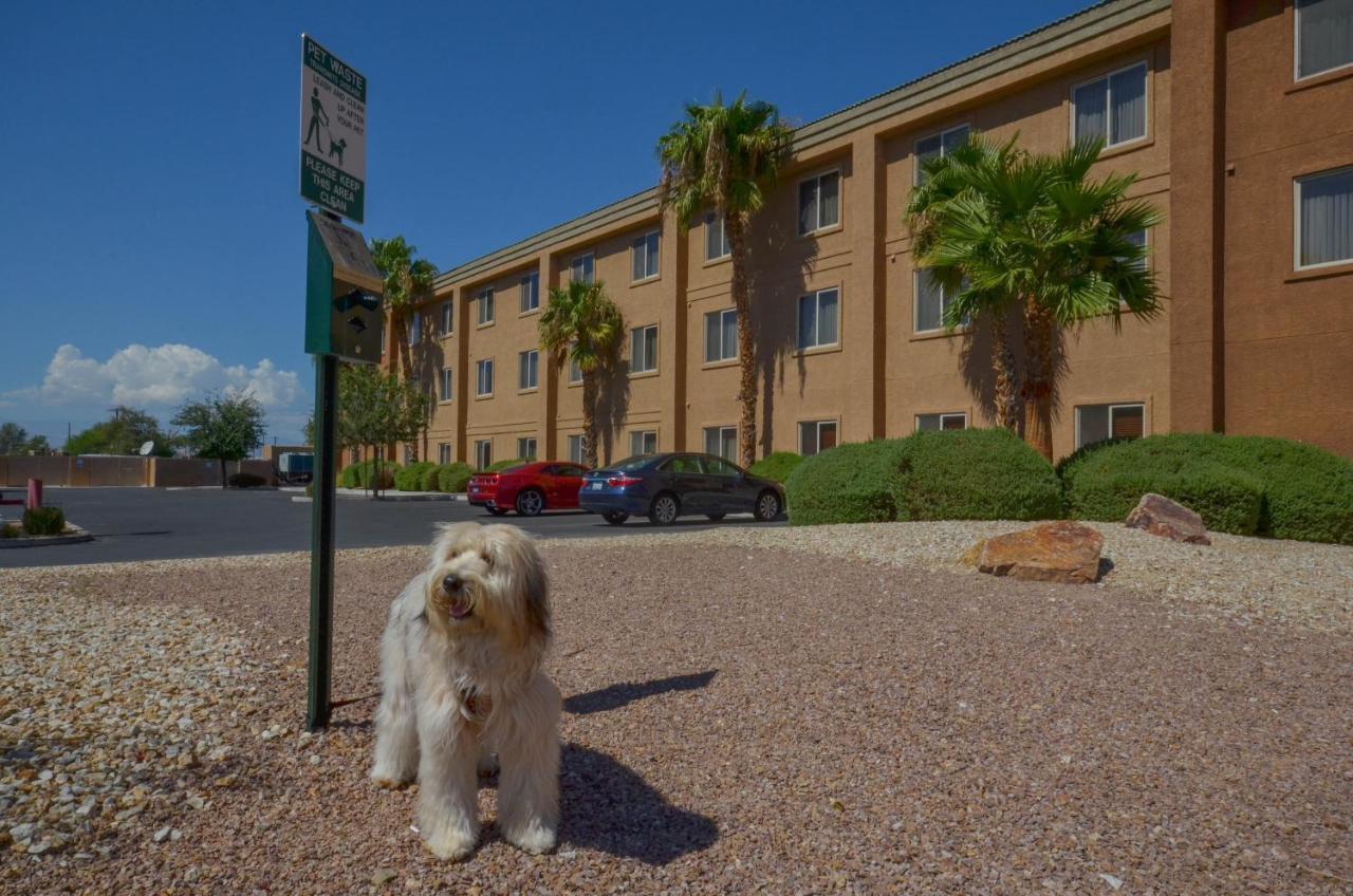 Holiday Inn Express Las Vegas-Nellis By Ihg Bagian luar foto